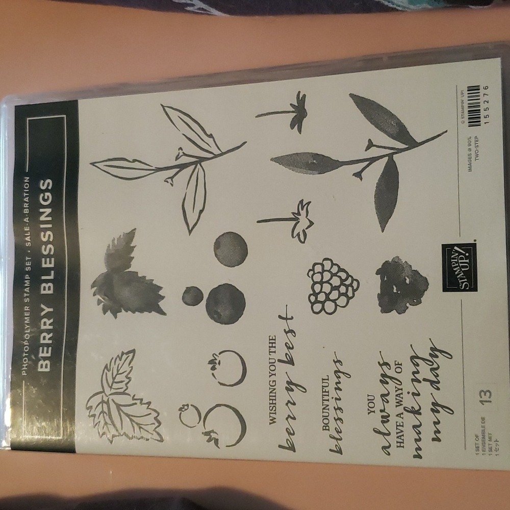 Stampin' Up - Berry Blessings (NEW)